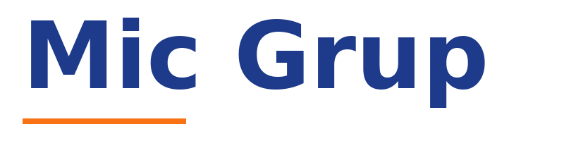 Mic Grup logo